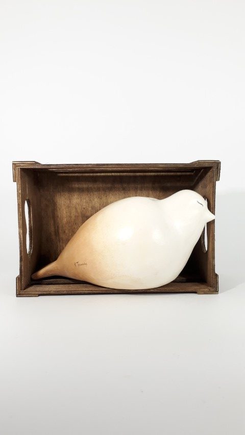 A PIGEON IN HIS NEST
