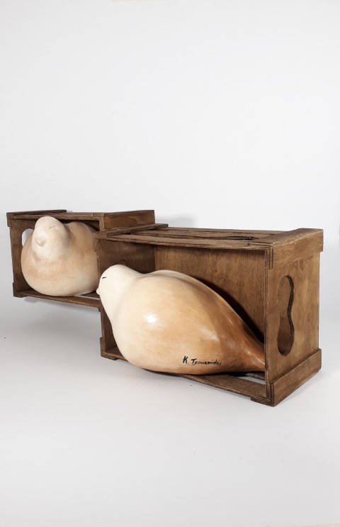 TWO PIGEONS IN THEIR NEST