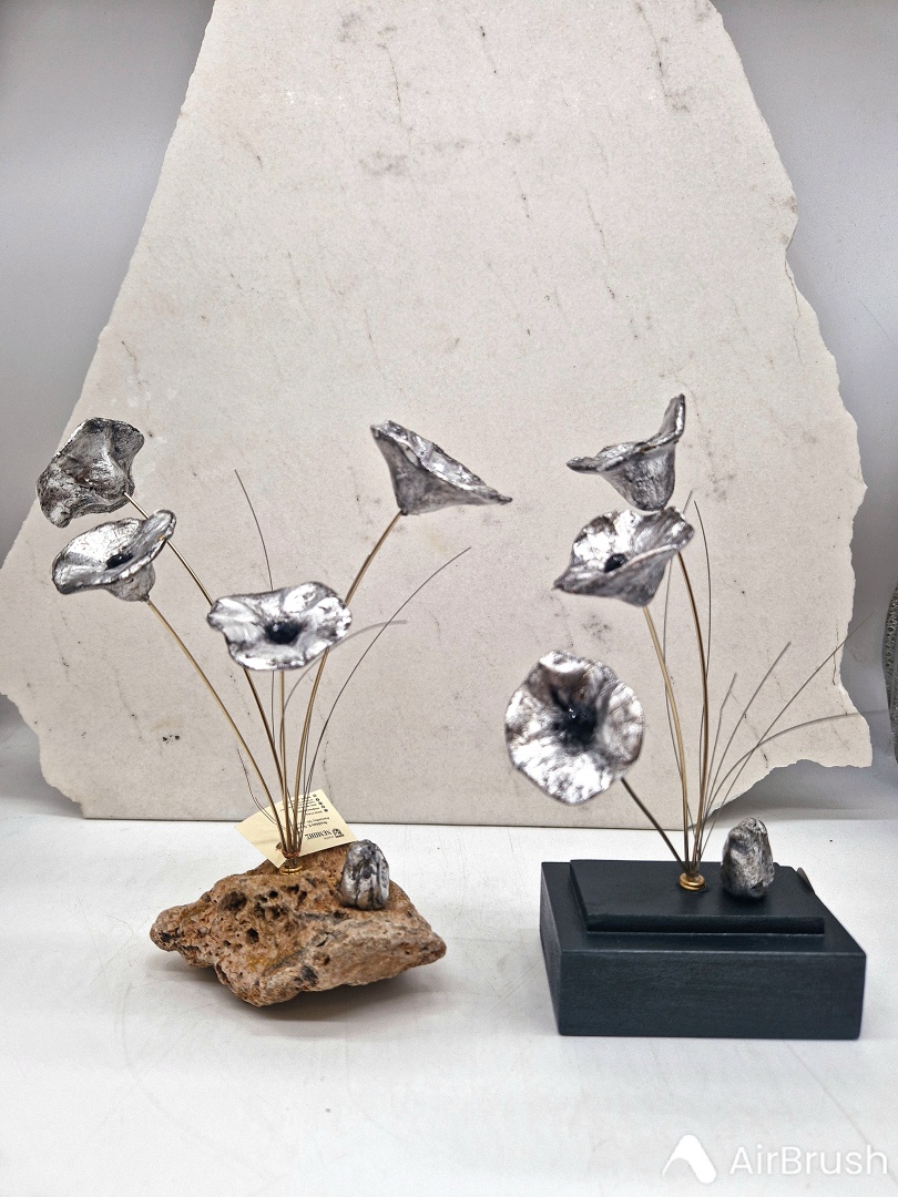 ΟΙ ΑΣΗΜΕΝΙΕΣ ΠΑΠΑΡΟΥΝΕΣ