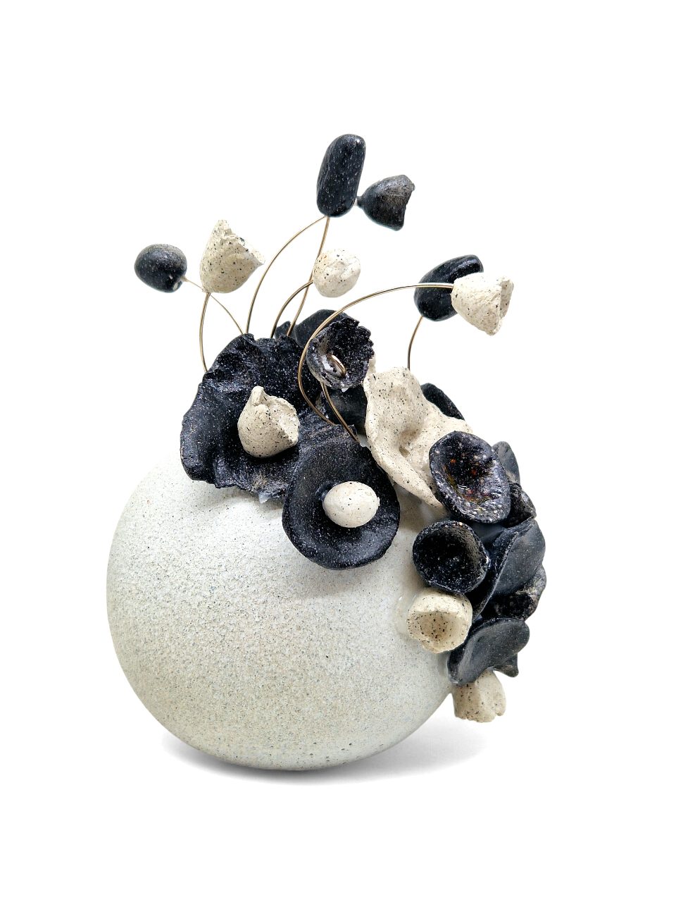 ΓΛΥΠΤΟ ΑΠΟ ΑΣΠΡΗ ΜΠΑΛΑ ΚΑΙ ΔΙΧΡΩΜΑ ΛΟΥΛΟΥΔΙΑ